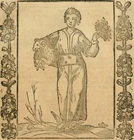 Picture 57 of 171 from Iconologia, ouero, Descrittione di diuerse imagini cauate dall'antichità, & di propria inuentione (1603), leaf 154