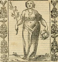 An illustration from Iconologia, ouero, Descrittione di diuerse imagini cauate dall'antichità, & di propria inuentione (1603)
