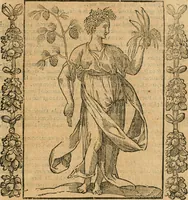 An illustration from Iconologia, ouero, Descrittione di diuerse imagini cauate dall'antichità, & di propria inuentione (1603)
