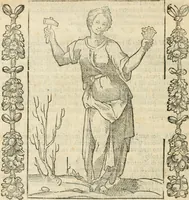 An illustration from Iconologia, ouero, Descrittione di diuerse imagini cauate dall'antichità, & di propria inuentione (1603)