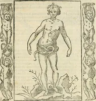 An illustration from Iconologia, ouero, Descrittione di diuerse imagini cauate dall'antichità, & di propria inuentione (1603)