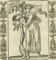 Picture 24 of 171 from Iconologia, ouero, Descrittione di diuerse imagini cauate dall'antichità, & di propria inuentione (1603), leaf 43