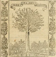 An illustration from Iconologia, ouero, Descrittione di diuerse imagini cauate dall'antichità, & di propria inuentione (1603)