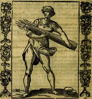 Picture 67 of 167 from Iconologia, overo Descrittione di diverse imagini cauate dall'antichità, & di propria inuentione, (1603), leaf 199