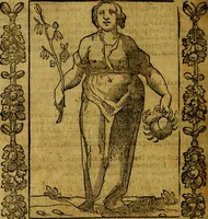 An illustration from Iconologia, overo Descrittione di diverse imagini cauate dall'antichità, & di propria inuentione, (1603)