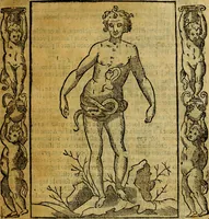 An illustration from Iconologia, overo Descrittione di diverse imagini cauate dall'antichità, & di propria inuentione, (1603)