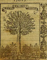 An illustration from Iconologia, overo Descrittione di diverse imagini cauate dall'antichità, & di propria inuentione, (1603)