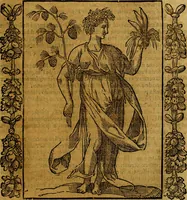 An illustration from Iconologia, overo Descrittione di diverse imagini cauate dall'antichità, & di propria inuentione, (1603)