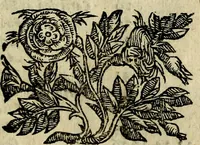 An illustration from Iconologia, overo, Descrittione d'imagini delle virtu', vitii, affetti, passioni humane, corpi celesti, mondo e sue parti (1611)