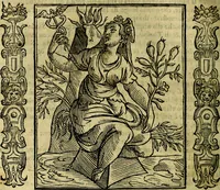 An illustration from Iconologia, overo, Descrittione d'imagini delle virtu', vitii, affetti, passioni humane, corpi celesti, mondo e sue parti (1611)