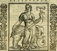 Picture 191 of 207 from Iconologia, overo, Descrittione d'imagini delle virtu', vitii, affetti, passioni humane, corpi celesti, mondo e sue parti (1611), leaf 542