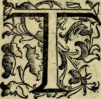 Picture 4 of 207 from Iconologia, overo, Descrittione d'imagini delle virtu', vitii, affetti, passioni humane, corpi celesti, mondo e sue parti (1611), leaf 9
