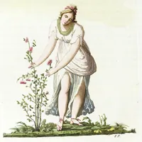 Picture 1 of 23 from Iconologia, ovvero, Immagini di tutte le cose principali a cui l'umano talento ha finto un corpo (1819), leaf 52