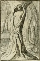 An illustration from Iconologie, tirée de divers auteurs : ouvrage utile aux gens de lettres, aux poëtes, aux artistes, & généralement à tous les amateurs des beaux-arts (1766)