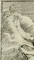 Picture 124 of 223 from Iconologie, tirée de divers auteurs : ouvrage utile aux gens de lettres, aux poëtes, aux artistes, & généralement à tous les amateurs des beaux-arts (1766), leaf 127