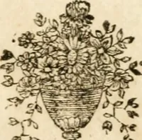 Picture 223 of 223 from Iconologie, tirée de divers auteurs : ouvrage utile aux gens de lettres, aux poëtes, aux artistes, & généralement à tous les amateurs des beaux-arts (1766), leaf 232