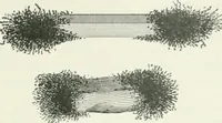 An illustration from I.C.S. reference library : a series of textbooks prepared for the students of the International Correspondence Schools and containing in permanent form the instruction papers examination questions, and keys used in their various courses (1904)