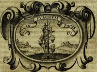 An illustration from Idea de un principe politico christiano : rapresentada en cien empresas (1642)