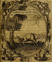 Picture 104 of 126 from Idea de un principe politico christiano, representada en cien empresas : dedicada al principe de las Españas nuestro señor (1655), leaf 656
