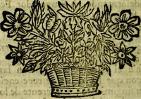 Picture 60 of 129 from Idea de vn principe politico christiano : representada en cien empressas. Va enmendada en esta sexta impression de todos los yerros que avia en las otras ... (1675), leaf 295
