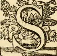 An illustration from Idea principis christiano-politici, centum symbolis expressa (1649)