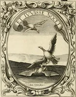 Picture 66 of 134 from Idea principis christiano-politici, centum symbolis expressa (1649), leaf 333