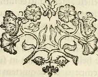 An illustration from Idea principis christiano-politici, centum symbolis expressa (1649)