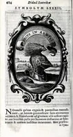 Picture 18 of 23 from Idea principis christiano-politici : 101 sijmbolis expressa (1651), leaf 720