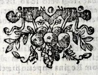 Picture 23 of 23 from Idea principis christiano-politici : 101 sijmbolis expressa (1651), leaf 868