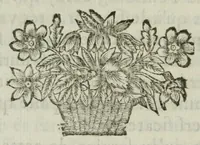 Picture 2 of 2 from Idée de la perfection de la peintvre demonstrée par les principes de l'art, et par des exemples conformes aux obseruations que Pline et Quintilien ont faites sur les plus célèbres tableaux des anciens peintres, mis en paralelle à quelques ouurages de nos meilleurs peintres modernes, Leonard de Vinci, Raphael, Iules Romain, et le Poussin (1662), leaf 166