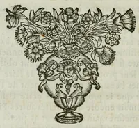 An illustration from Idée de la perfection de la peintvre demonstrée par les principes de l'art, et par des exemples conformes aux obseruations que Pline et Quintilien ont faites sur les plus célèbres tableaux des anciens peintres, mis en paralelle à quelques ouurages de nos meilleurs peintres modernes, Leonard de Vinci, Raphael, Iules Romain, et le Poussin (1662)