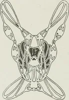 An illustration from Ideen (1904)