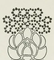 An illustration from Ideen (1904)