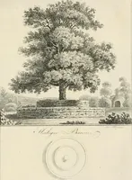 Picture 37 of 115 from Ideen-Magazin für Architecten, Künstler und Handwerker (1832), leaf 58