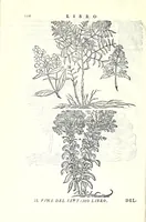Picture 42 of 50 from I dieci libri d'architettvra (1660), leaf 134