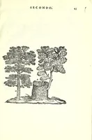 Picture 14 of 50 from I dieci libri d'architettvra (1660), leaf 61