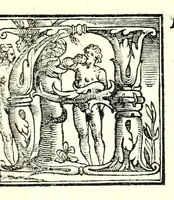 Picture 19 of 50 from I dieci libri d'architettvra (1660), leaf 71