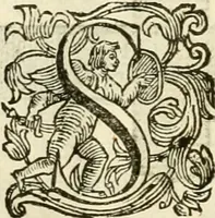 An illustration from I dieci libri d'architettvra (1660)