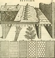 An illustration from I dieci libri d'architettvra (1660)