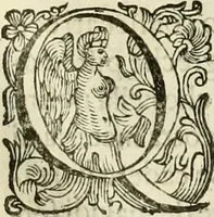 An illustration from I dieci libri d'architettvra (1660)