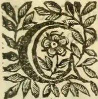 An illustration from I dieci libri d'architettvra (1660)