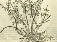 An illustration from I dieci libri d'architettvra (1660)