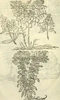 An illustration from I dieci libri d'architettvra (1660)