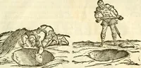 An illustration from I dieci libri d'architettvra (1660)
