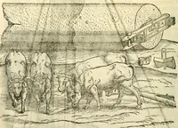 An illustration from I dieci libri d'architettvra (1660)
