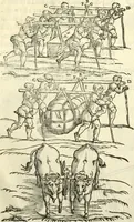 Picture 252 of 262 from I dieci libri d'architettvra (1660), leaf 155