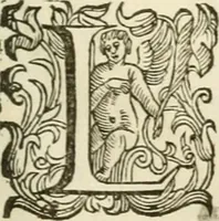 An illustration from I dieci libri d'architettvra (1660)