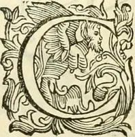 An illustration from I dieci libri d'architettvra (1660)