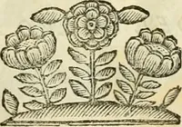 An illustration from I dieci libri d'architettvra (1660)