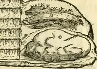 An illustration from I dieci libri d'architettvra (1660)